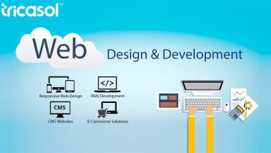 Web-development-company