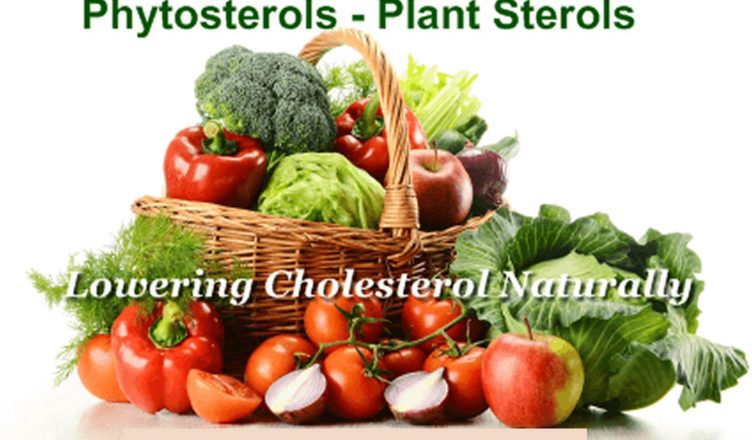 Cholesterol Levels Can Be Reduced With Phytosterols?