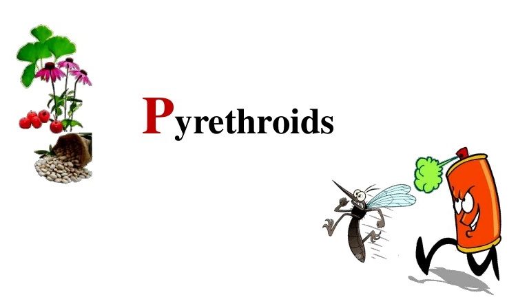 Pyrethroids Market